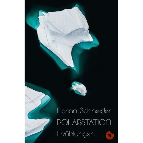 Florian Schneider - Polarstation – Erzählungen