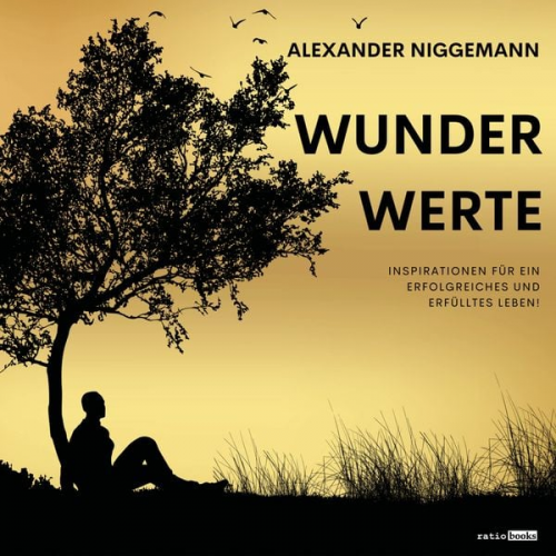 Alexander Niggemann - WunderWerte