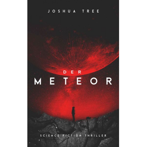 Joshua Tree - Der Meteor