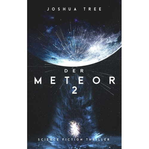 Joshua Tree - Der Meteor 2