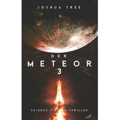 Joshua Tree - Der Meteor 3