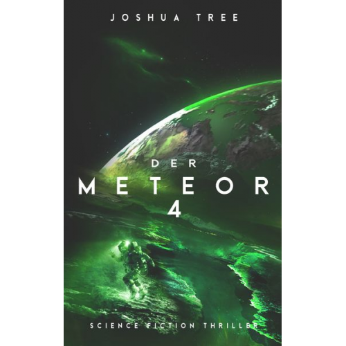 Joshua Tree - Der Meteor 4