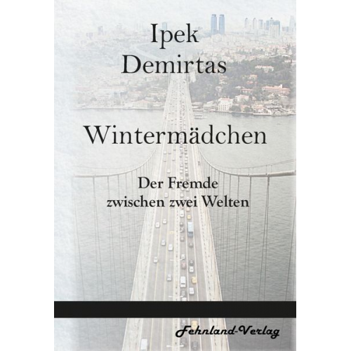 Ipek Demirtas - Wintermädchen. Der Fremde zwischen zwei Welten