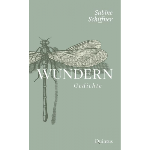 Sabine Schiffner - Wundern