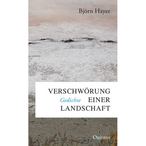 Björn Hayer - Verschwörung einer Landschaft