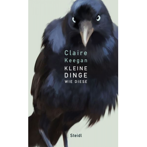 Claire Keegan - Kleine Dinge wie diese