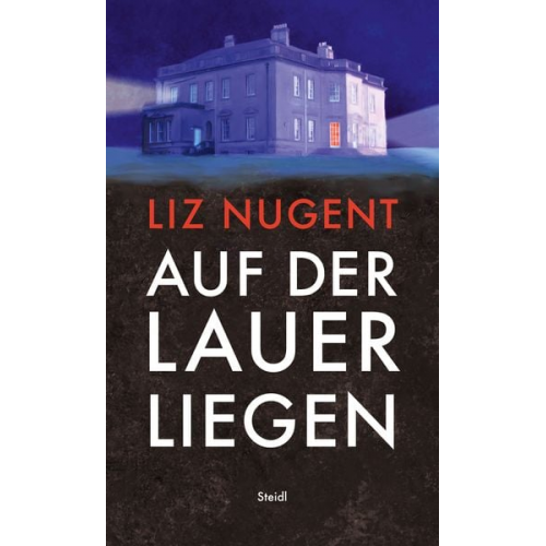 Liz Nugent - Auf der Lauer liegen