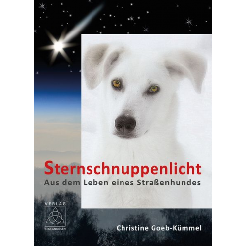 Christine Goeb-Kümmel - Sternschnuppenlicht