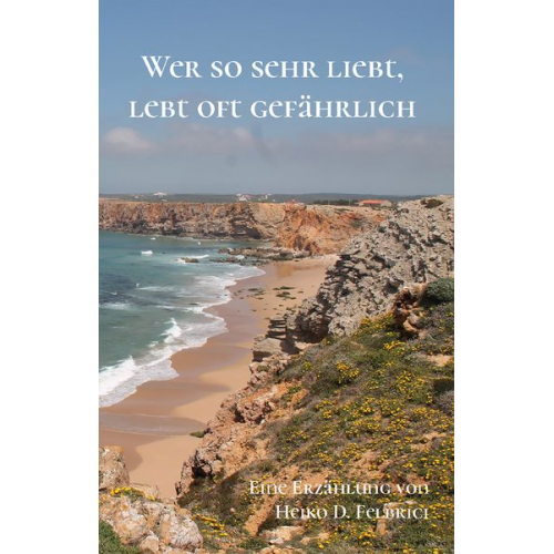 Heiko D. Felbrici - Wer so sehr liebt, lebt oft gefährlich