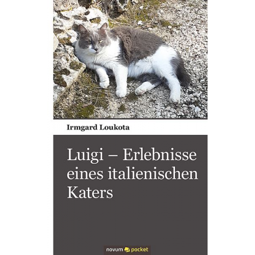 Irmgard Loukota - Luigi – Erlebnisse eines italienischen Katers