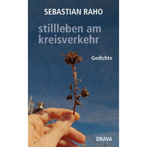 Sebastian Raho - Stillleben am kreisverkehr