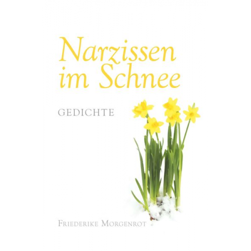 Friederike Morgenrot - Narzissen im Schnee