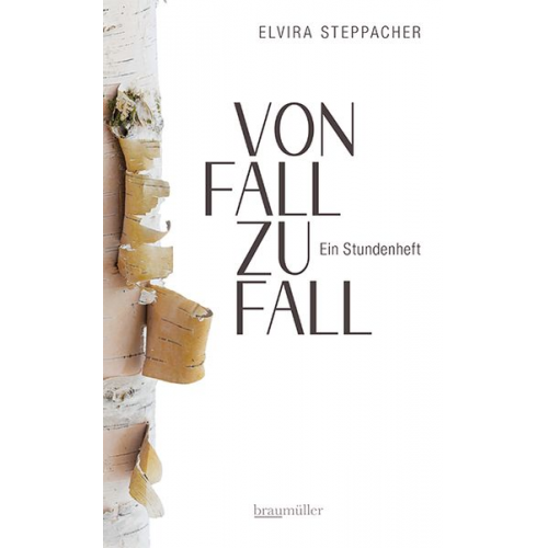 Elvira Steppacher - Von Fall zu Fall. Ein Stundenheft