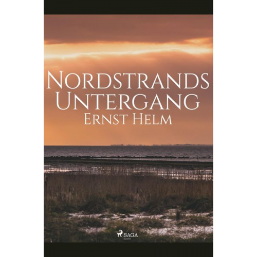 Ernst Helm - Nordstrands Untergang