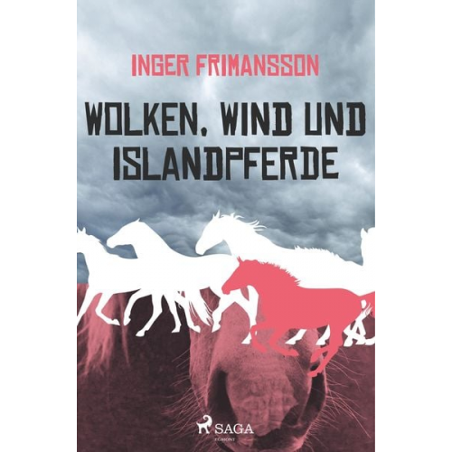 Inger Frimansson - Wolken, Wind und Islandpferde