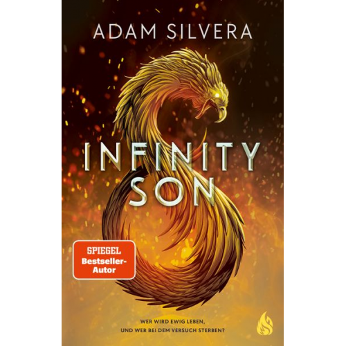 Adam Silvera - Infinity Son (Bd. 1)