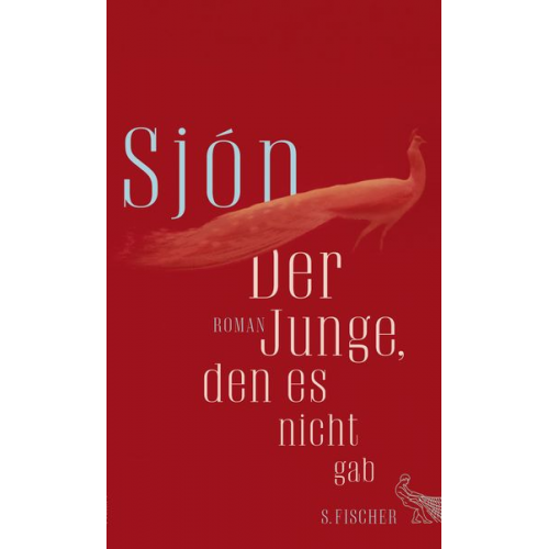 Sjón - Der Junge, den es nicht gab