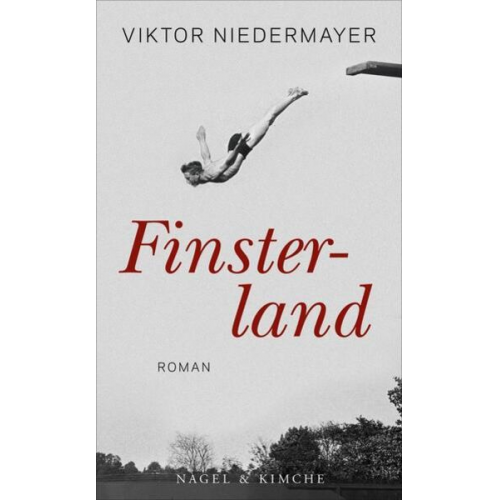 Viktor Niedermayer - Finsterland