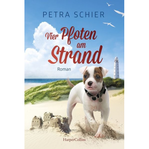 Petra Schier - Vier Pfoten am Strand