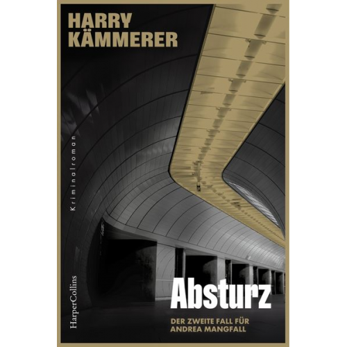 Harry Kämmerer - Absturz