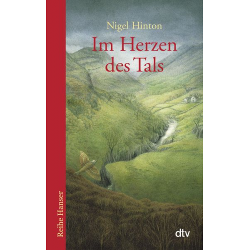 Nigel Hinton - Im Herzen des Tals