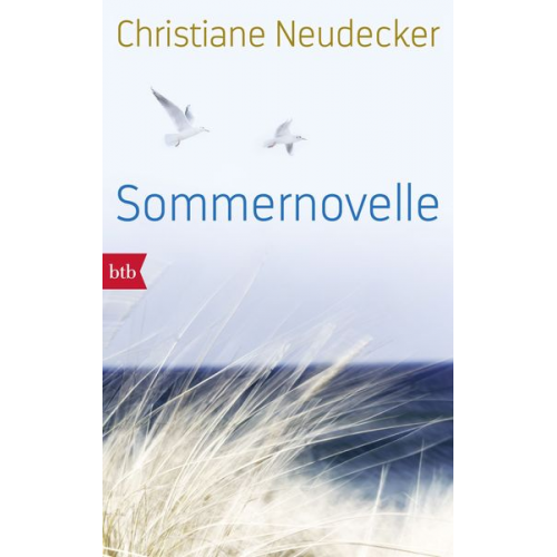 Christiane Neudecker - Sommernovelle