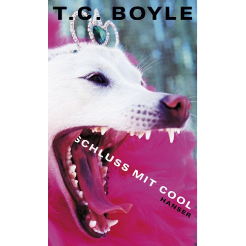 T.C. Boyle - Schluß mit cool