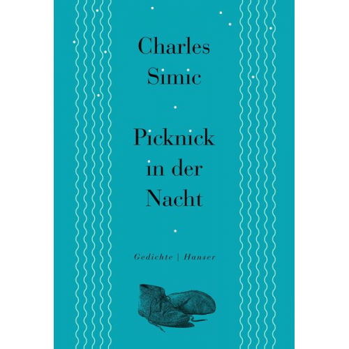 Charles Simic - Picknick in der Nacht