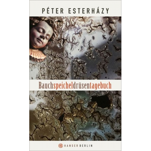 Peter Esterhazy - Bauchspeicheldrüsentagebuch