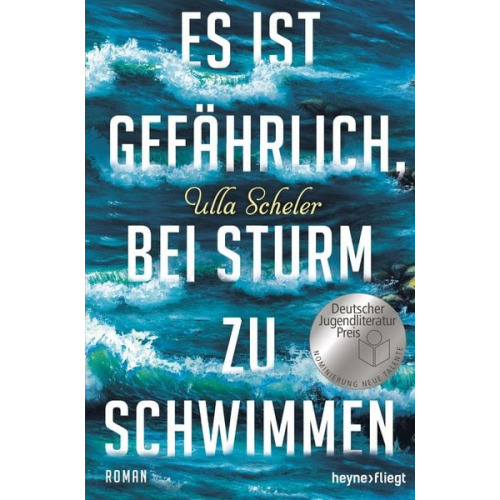 Ulla Scheler - Es ist gefährlich, bei Sturm zu schwimmen