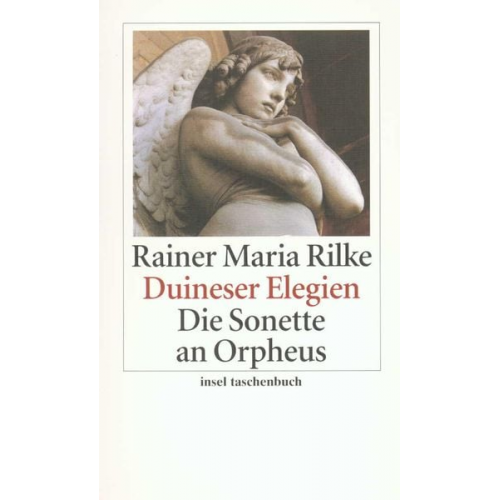 Rainer Maria Rilke - Duineser Elegien. Die Sonette an Orpheus