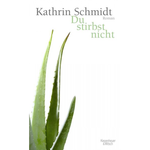 Kathrin Schmidt - Du stirbst nicht