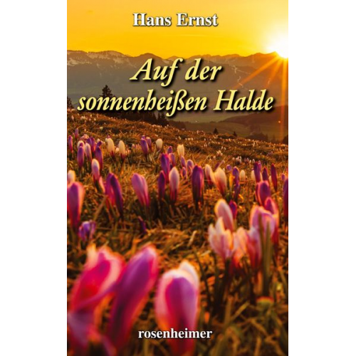 Hans Ernst - Auf der sonnenheißen Halde