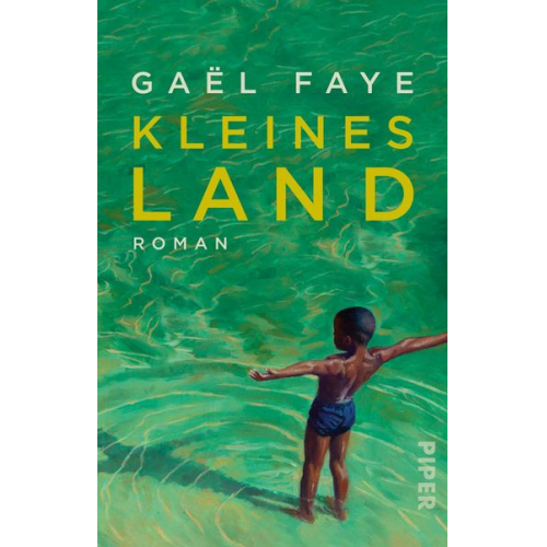 Gaël Faye - Kleines Land