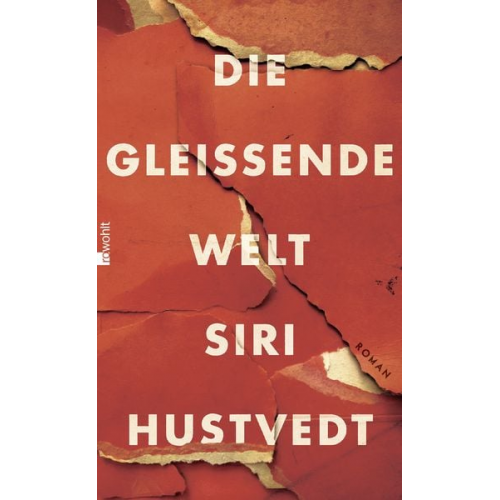 Siri Hustvedt - Die gleißende Welt