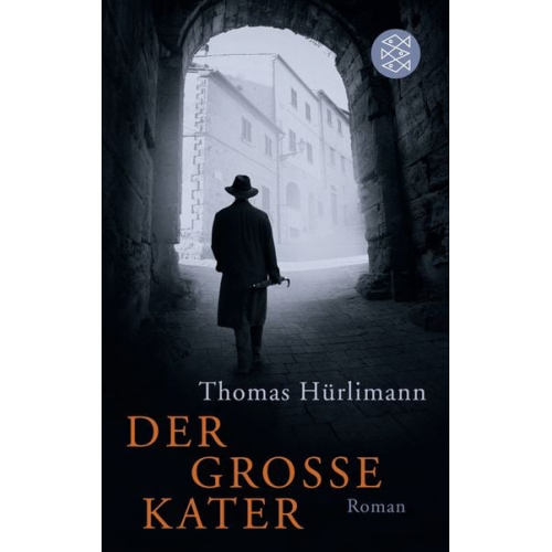Thomas Hürlimann - Der große Kater