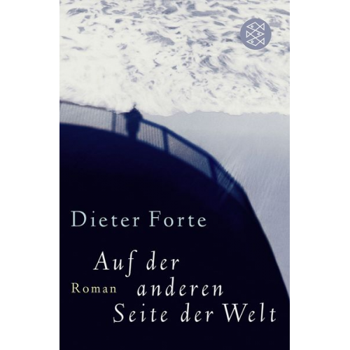 Dieter Forte - Auf der anderen Seite der Welt