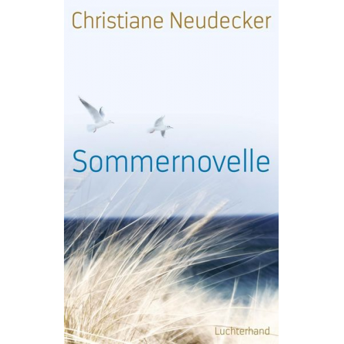 Christiane Neudecker - Sommernovelle