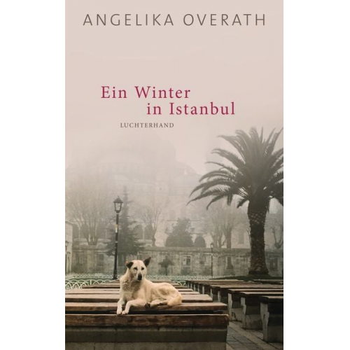 Angelika Overath - Ein Winter in Istanbul