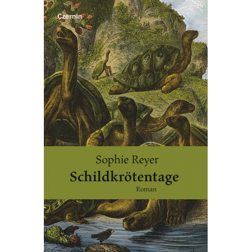 Sophie Reyer - Schildkrötentage