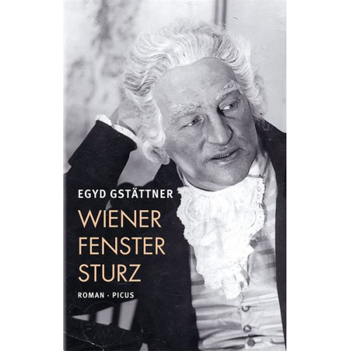 Egyd Gstättner - Wiener Fenstersturz