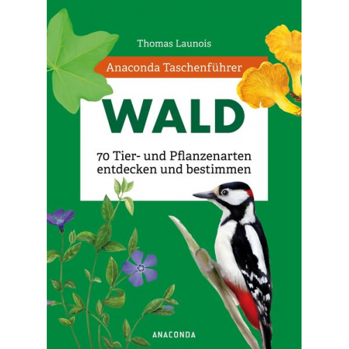 Thomas Launois Xavier Nitsch Sophie Padié Morgane Peyrot Charles Zettel - Anaconda Taschenführer Wald - 70 Tier- und Pflanzenarten entdecken und bestimmen