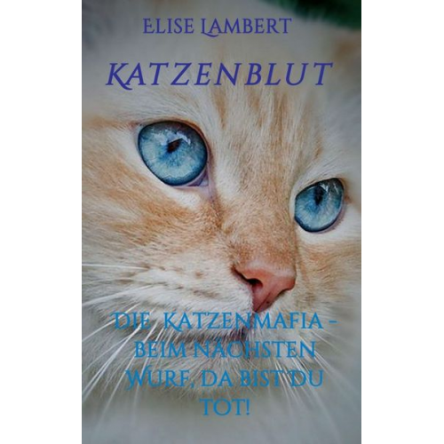 Elise Lambert - Katzenblut