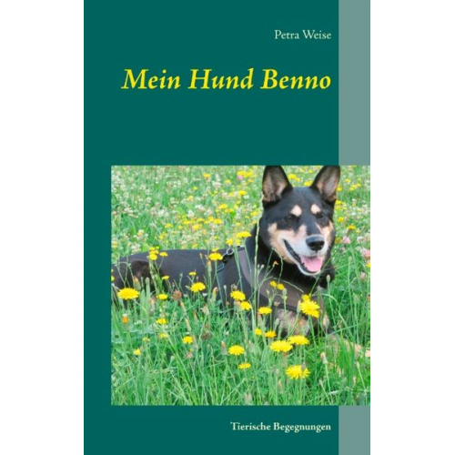 Petra Weise - Mein Hund Benno