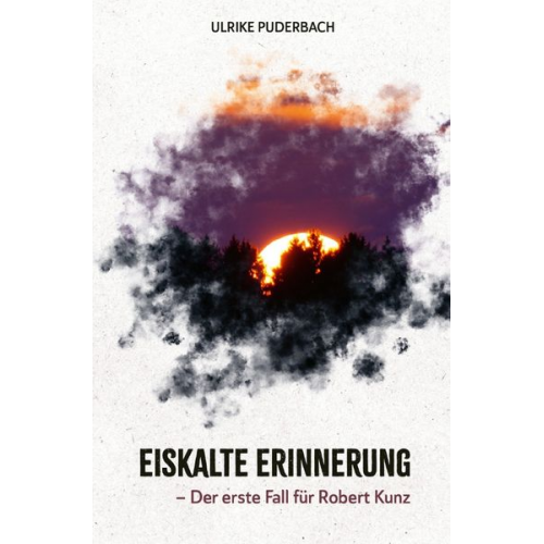 Ulrike Puderbach - Hannover-Krimis / Eiskalte Erinnerung