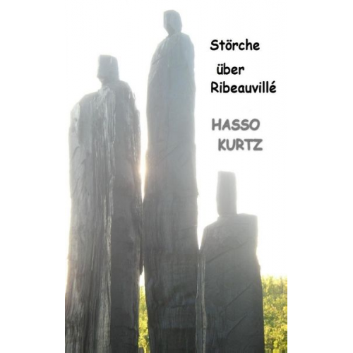 Hasso Kurtz - Störche über Ribeauvillé