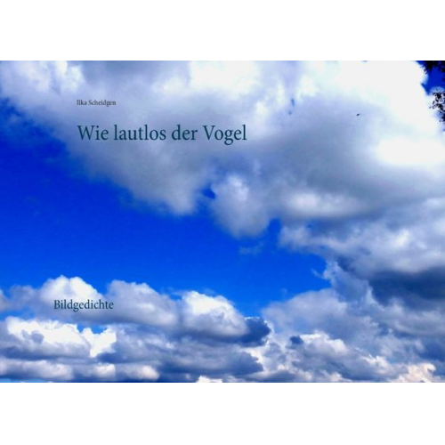Ilka Scheidgen - Wie lautlos der Vogel