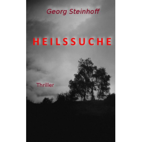 Georg Steinhoff - Heilssuche