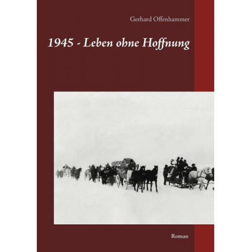 Gerhard Offenhammer - 1945 - Leben ohne Hoffnung