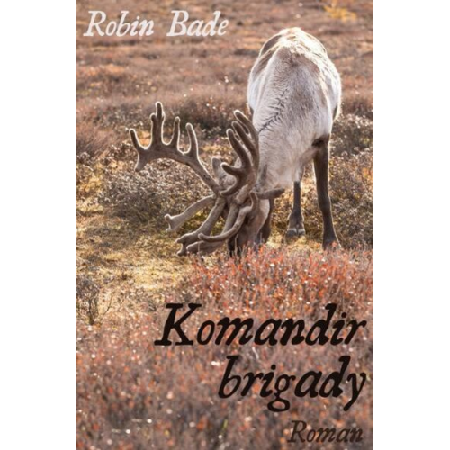 Robin Bade - Komandir brigady